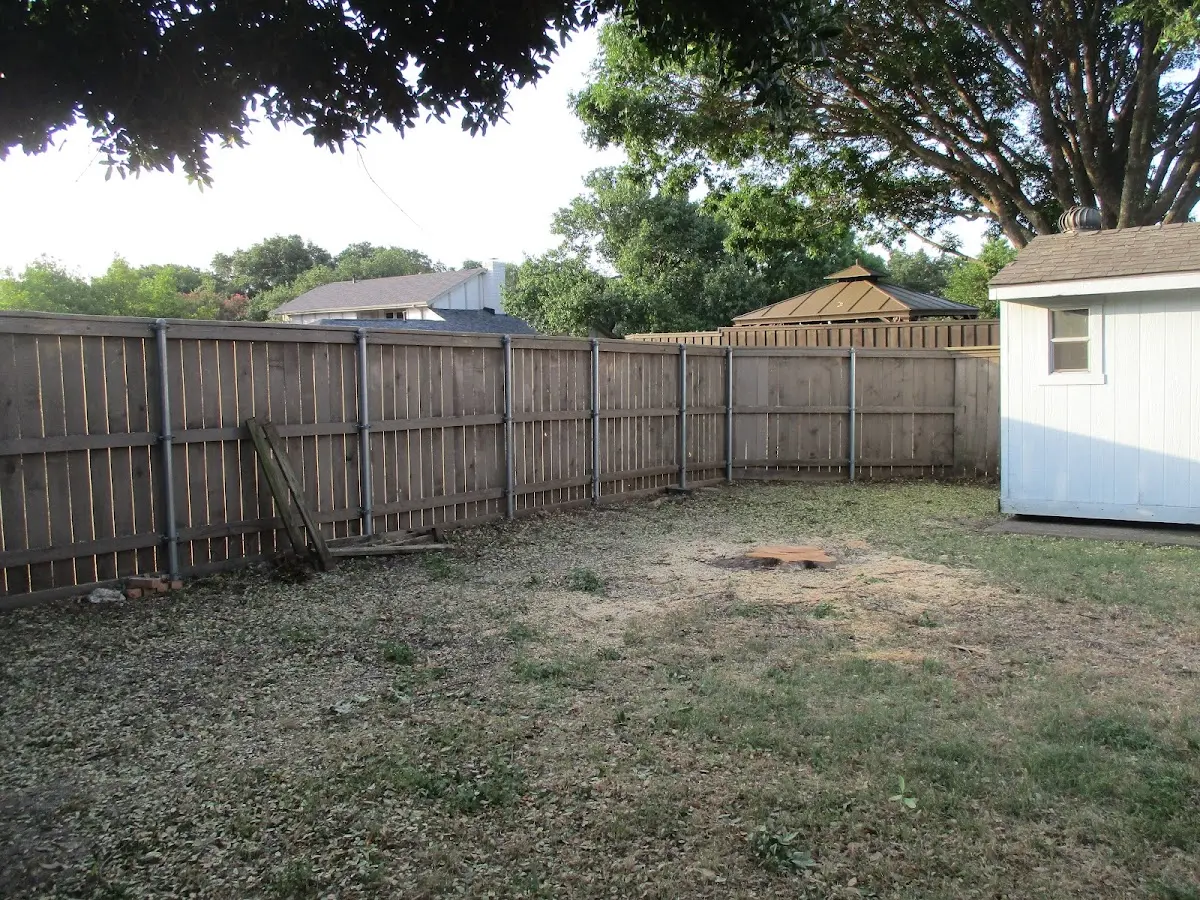 Cleared yard after professional tree removal in Erving